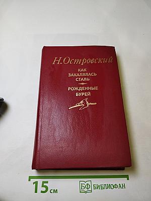 Как закалялась сталь. Рожденные бурей