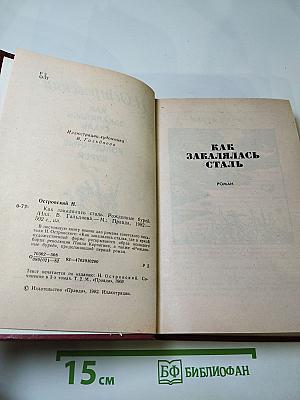 Как закалялась сталь. Рожденные бурей