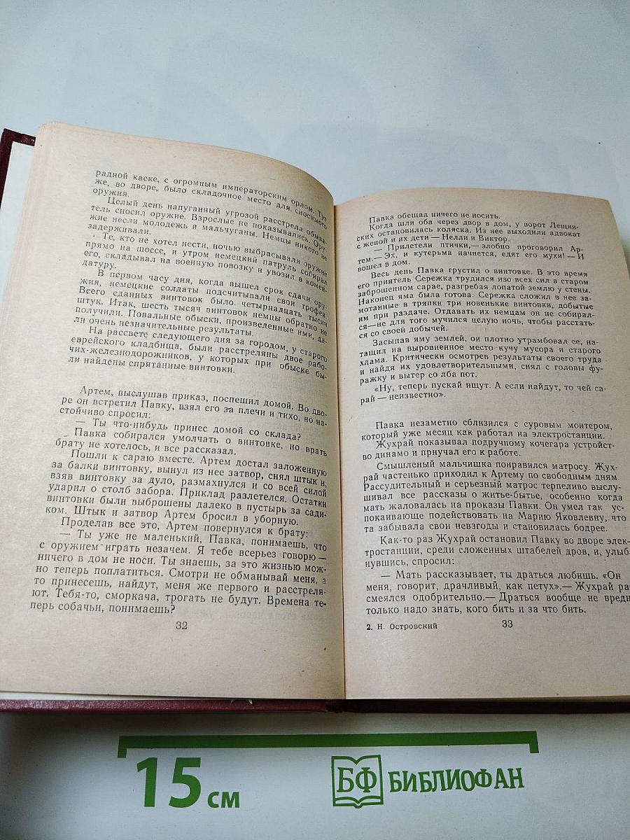Как закалялась сталь. Рожденные бурей