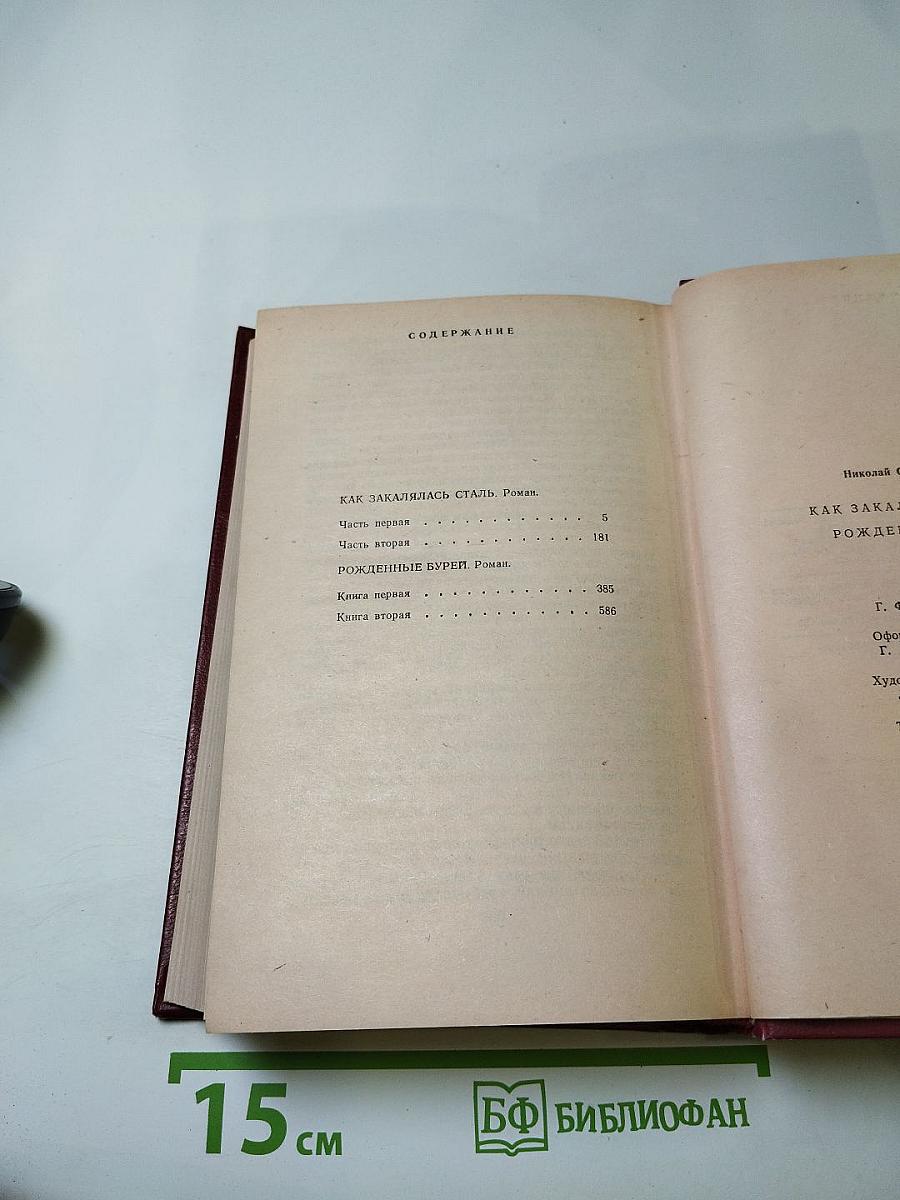 Как закалялась сталь. Рожденные бурей