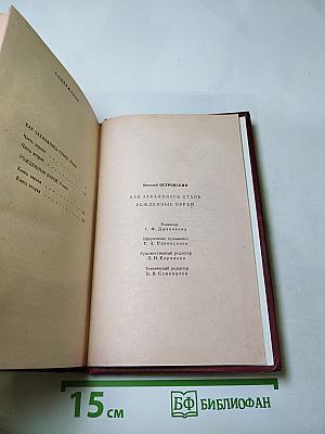 Как закалялась сталь. Рожденные бурей