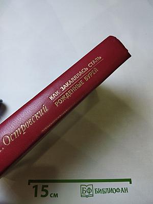 Как закалялась сталь. Рожденные бурей