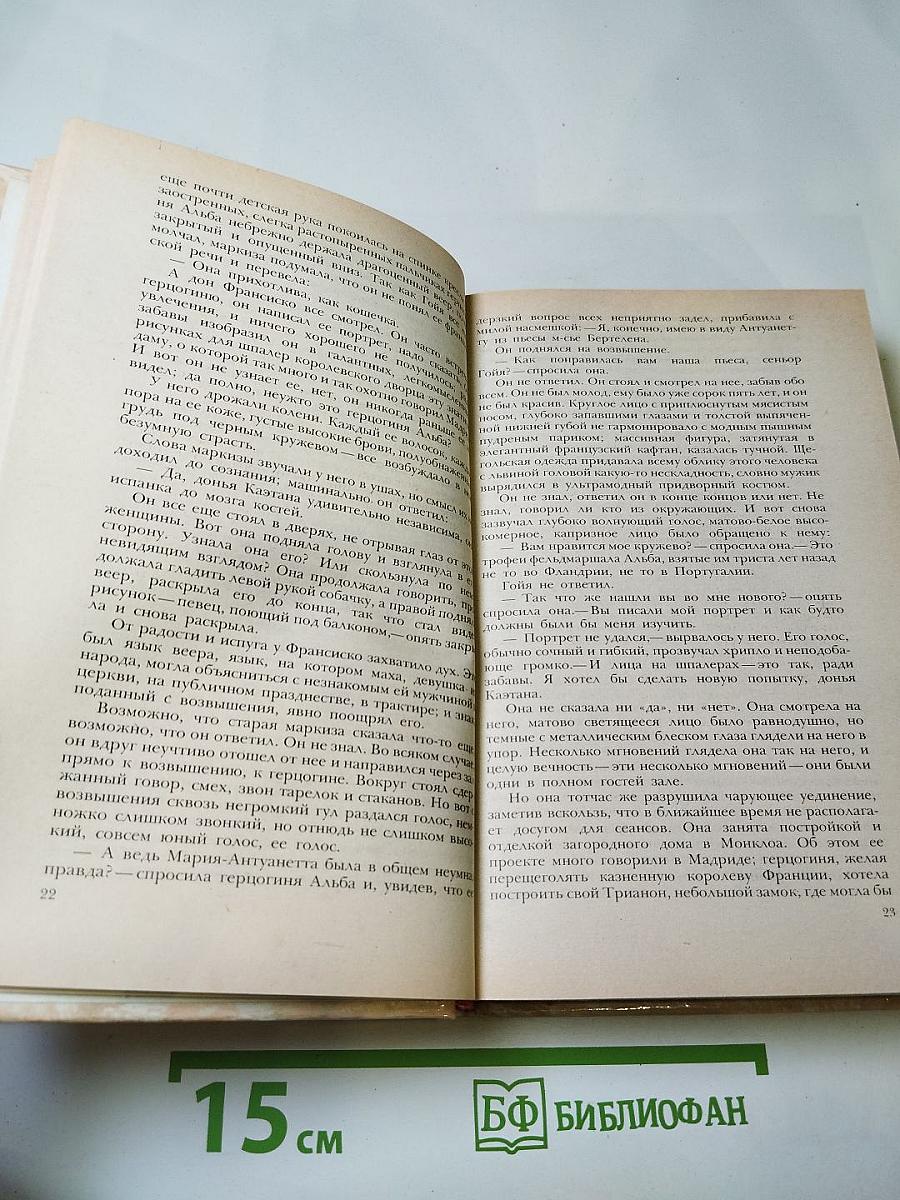 Гойя, или Тяжкий путь познания