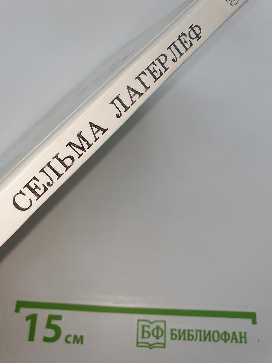 Чудесное путешествие Нильса с дикими гусями