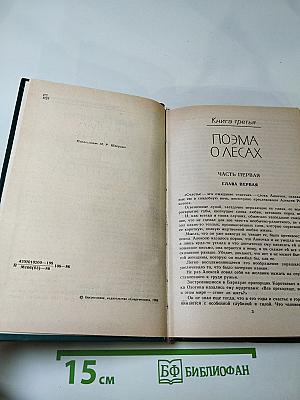 Жизнь Алексея Рокотова. Трилогия. Книга третья: Поэма о лесах