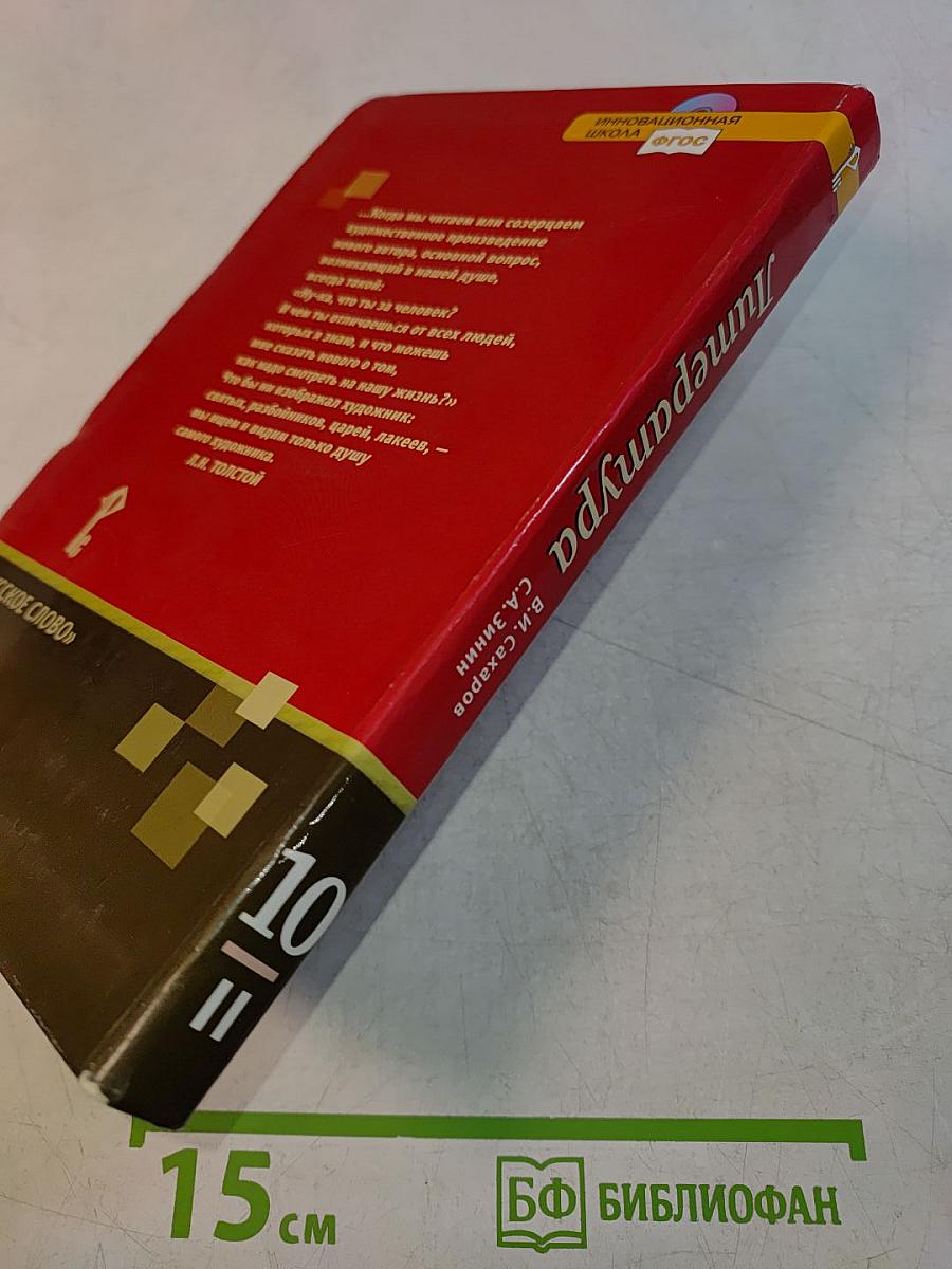 Литература. 10 класс. Часть II