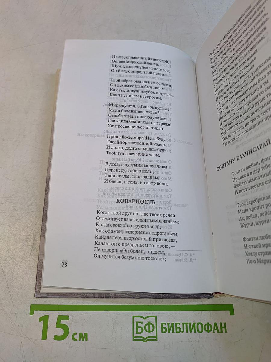 Стихотворения. Поэмы