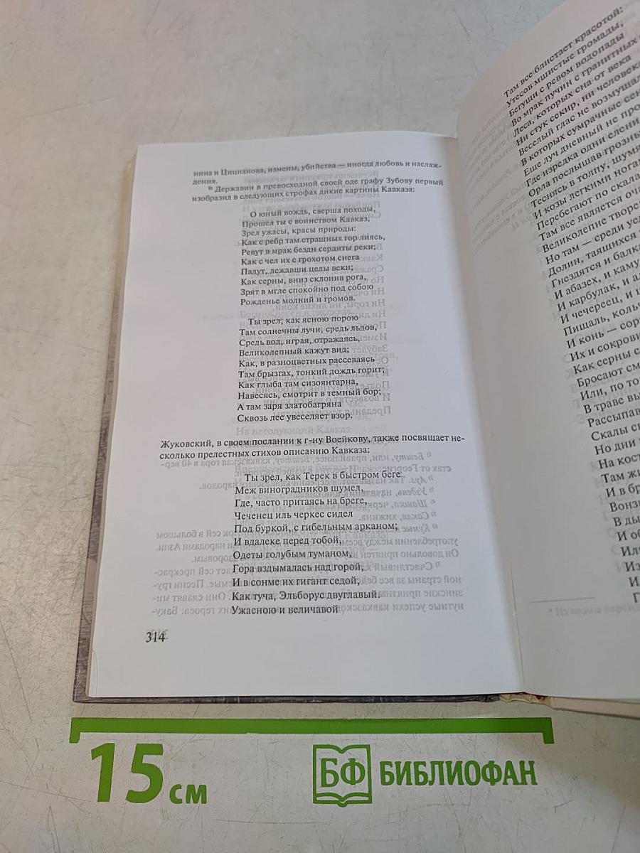 Стихотворения. Поэмы
