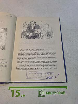 Робинзонка