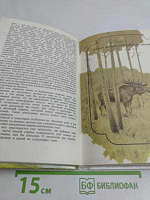 Войди в зелёный мир