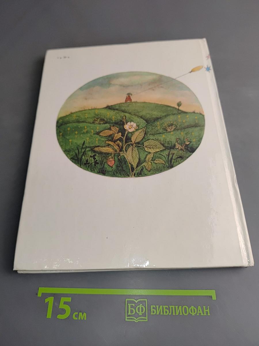 Хомячок на прогулке