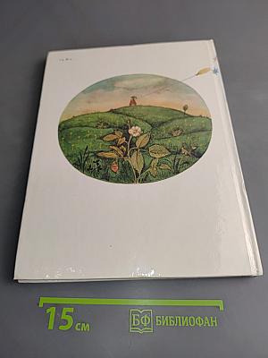 Хомячок на прогулке