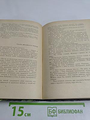 У зеленой колыбели