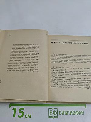 Стихи. Дневники