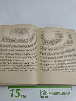 Стихи. Дневники