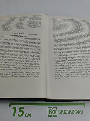 Русские повести XIX века. Том второй. 60-х годов