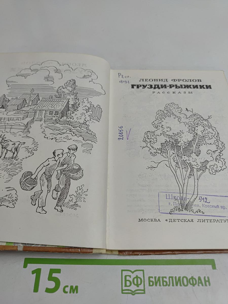 Грузди-рыжики