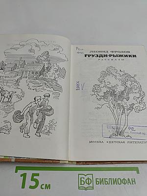 Грузди-рыжики