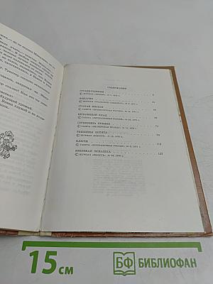 Грузди-рыжики