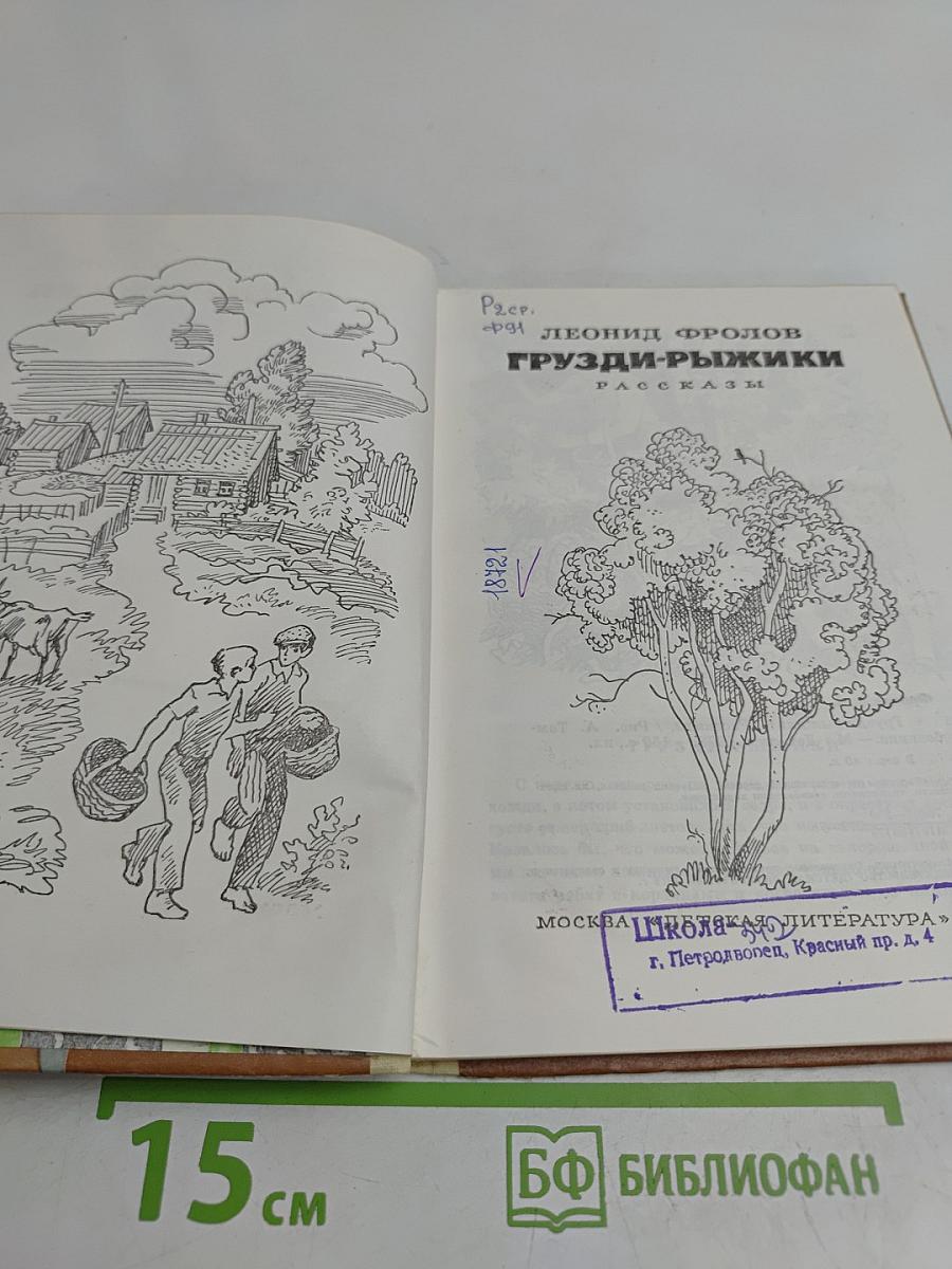 Грузди-рыжики