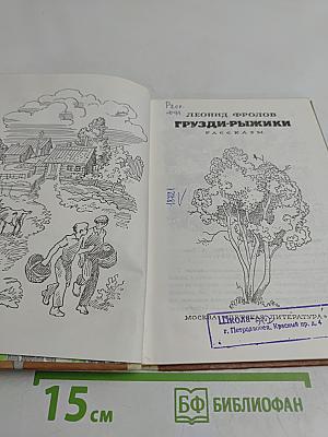 Грузди-рыжики