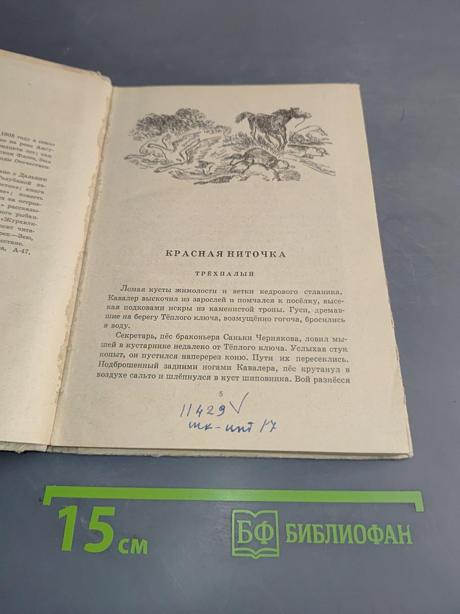 Красная ниточка