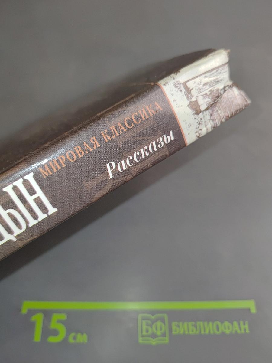 Рассказы