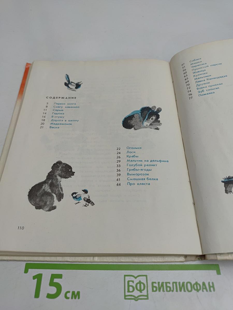 Первая книга