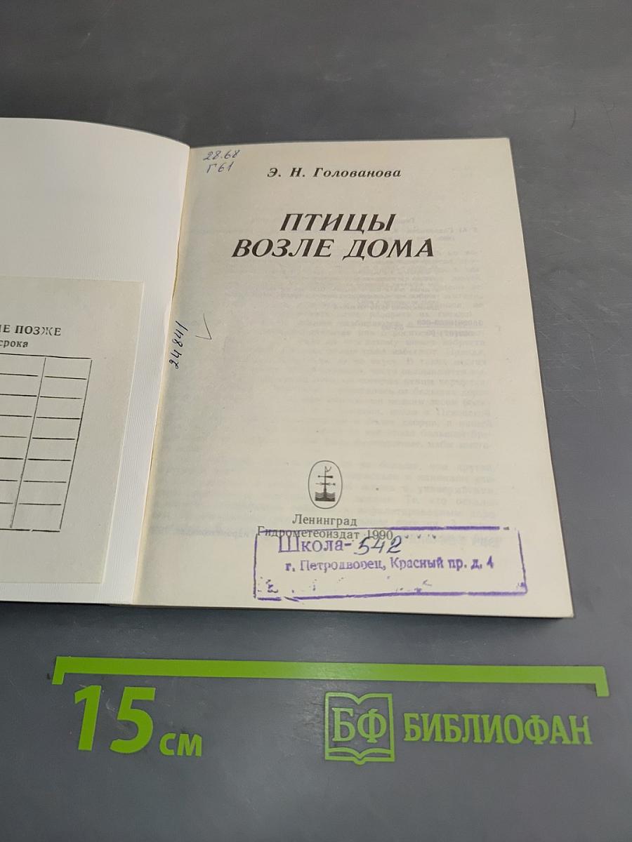 Птицы возле дома