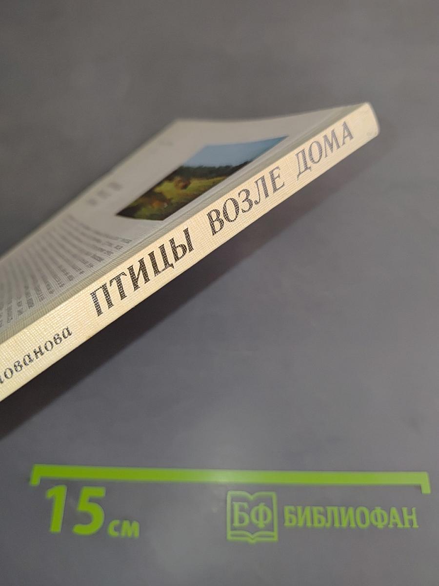 Птицы возле дома