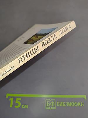 Птицы возле дома