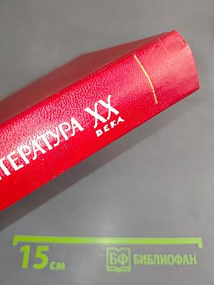 Русская литература XX века. Исследования американских ученых