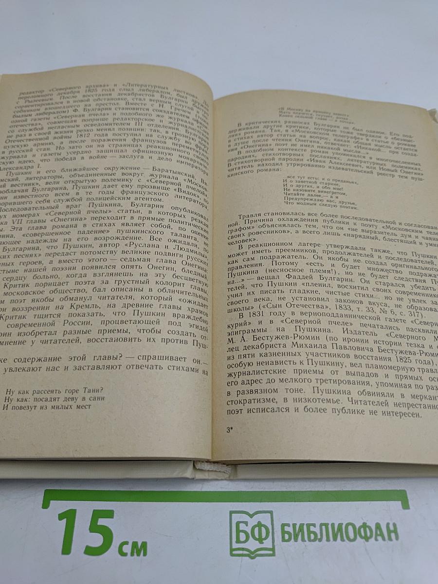 Образ, бережно хранимый. Жизнь Пушкина в памяти поколений. Книга для учителя