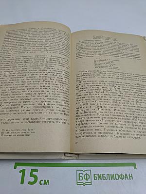 Образ, бережно хранимый. Жизнь Пушкина в памяти поколений. Книга для учителя