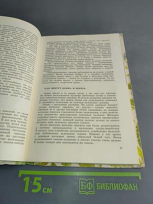 Из жизни зеленого мира