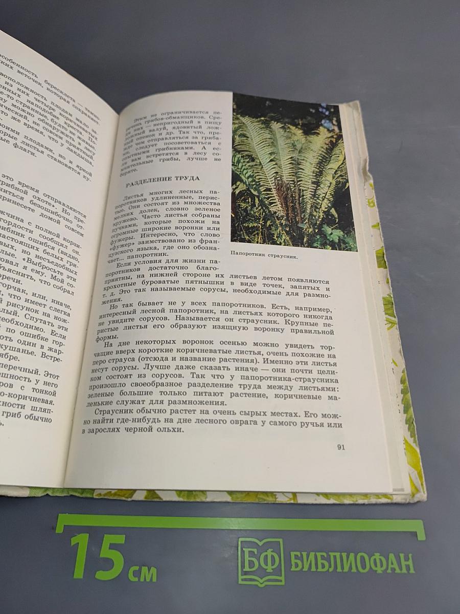 Из жизни зеленого мира