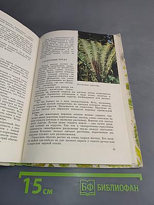 Из жизни зеленого мира