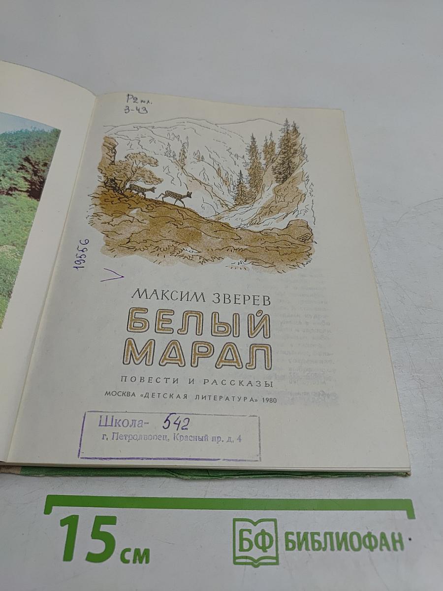 Белый марал