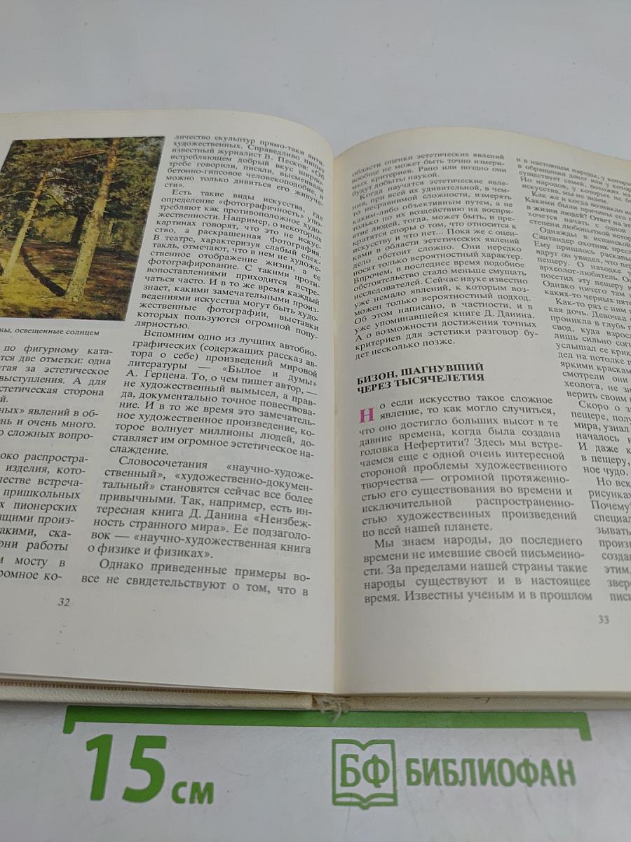 Школьникам об эстетике