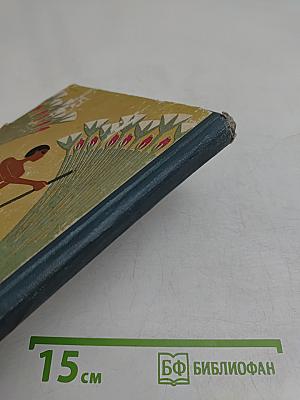 Из лотоса рождается солнце