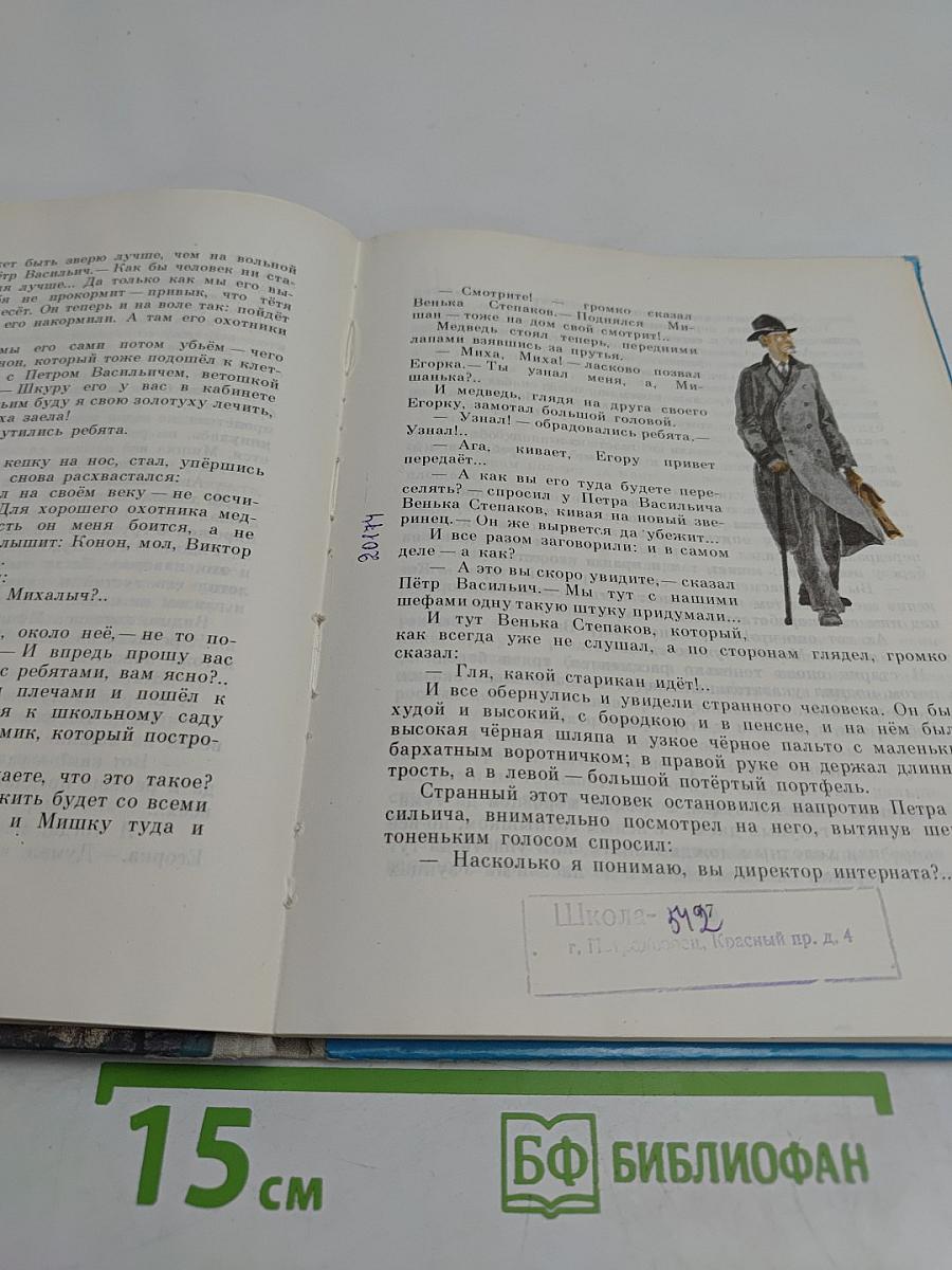 Красный петух Плимут-рок