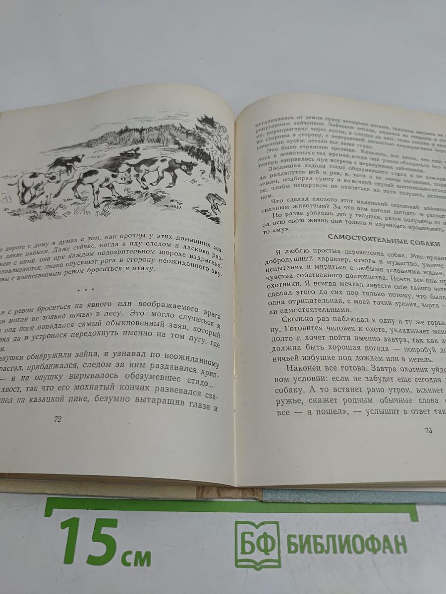 Лоси на скалах