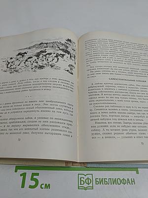 Лоси на скалах