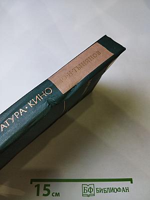 Поэтика. История литературы. Кино