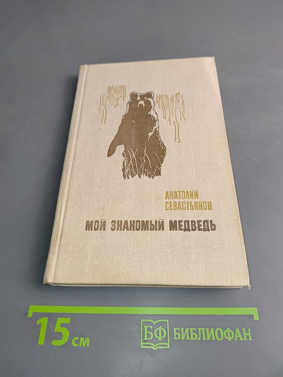 Мой знакомый медведь