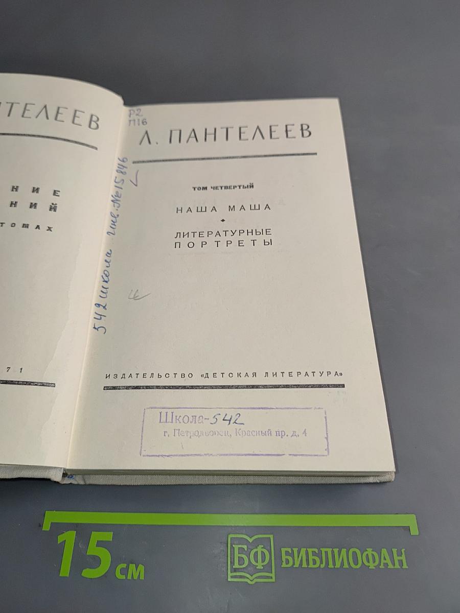 Наша Маша. Литературные портреты