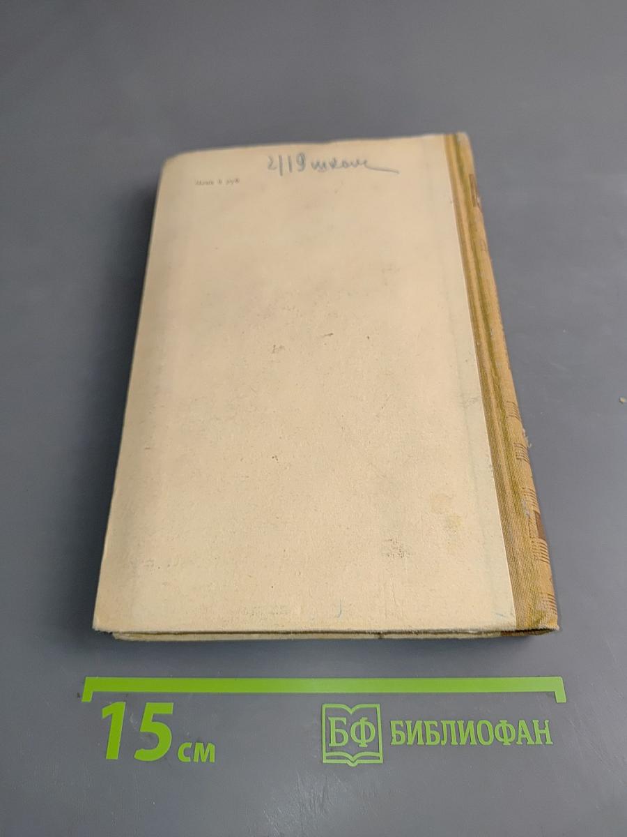 Избранные педагогические сочинения. Том 2