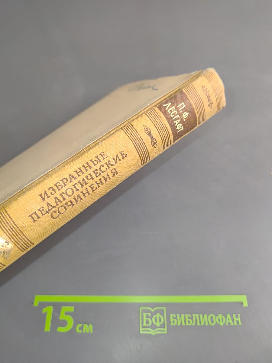 Избранные педагогические сочинения. Том 2