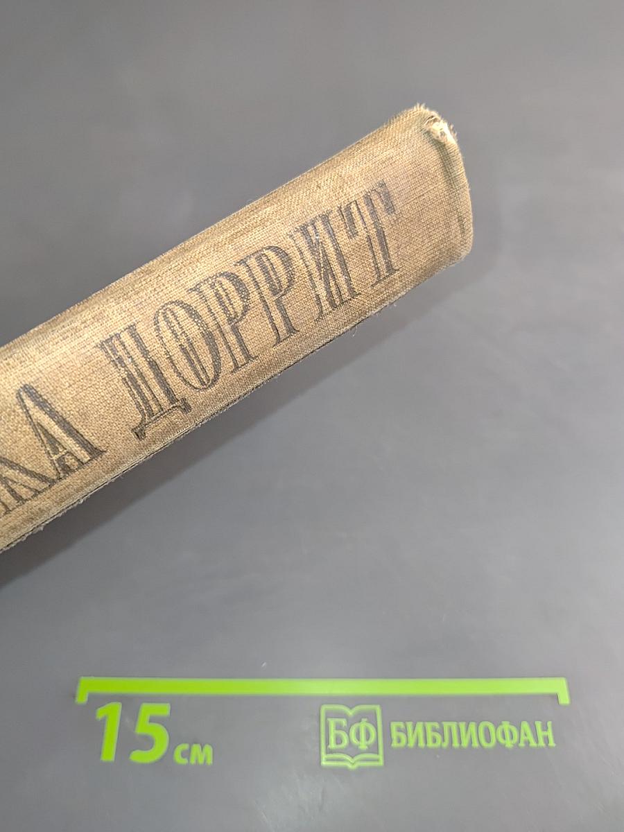 Крошка Доррит. Книга вторая. Богатество
