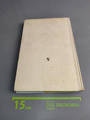 Игры и развлечения в группе продленного дня